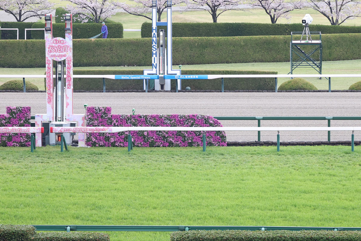 阪神 競馬 場 の 天気