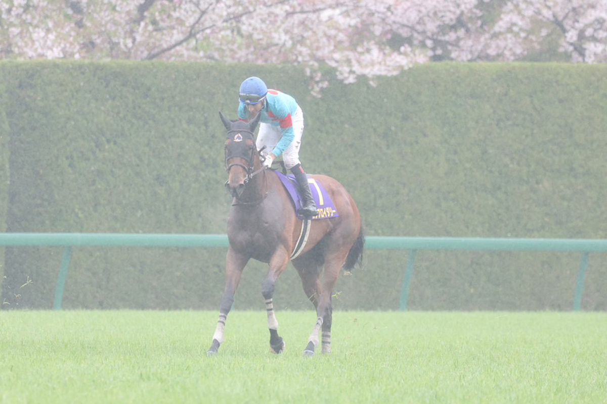 桜花賞】エンブロイダリーは49年ぶりの記録 新種牡馬産駒Vは5年