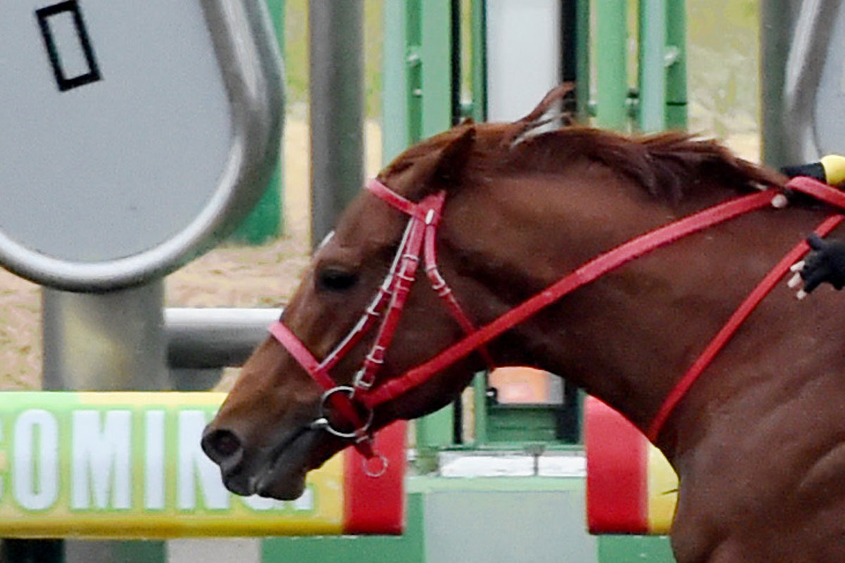 皐月賞・サイン馬券】クロワデュノールの〝暗示〟が見当たらない