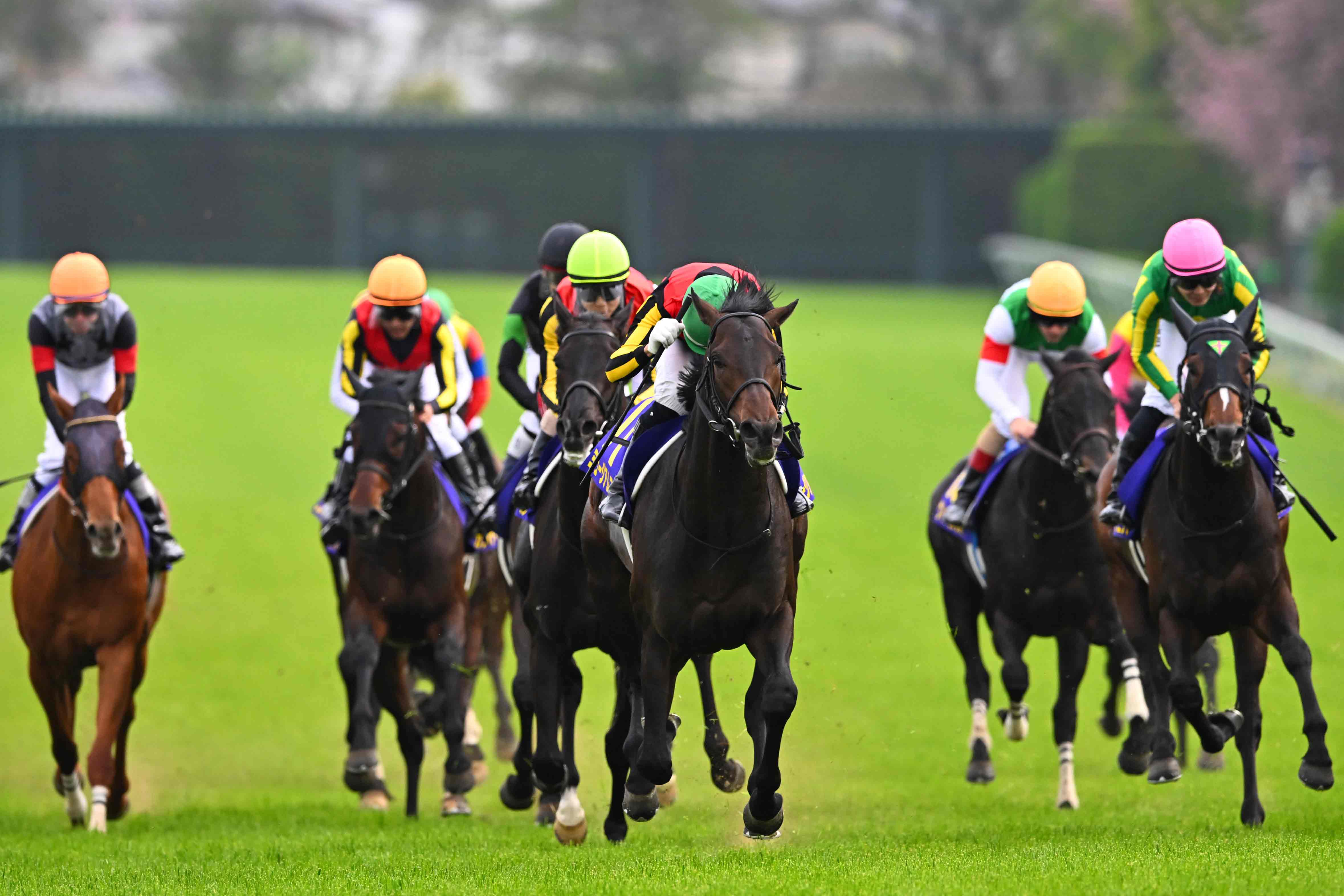 皐月賞結果＆コメント】ミュージアムマイルでGⅠ連勝のモレイラ