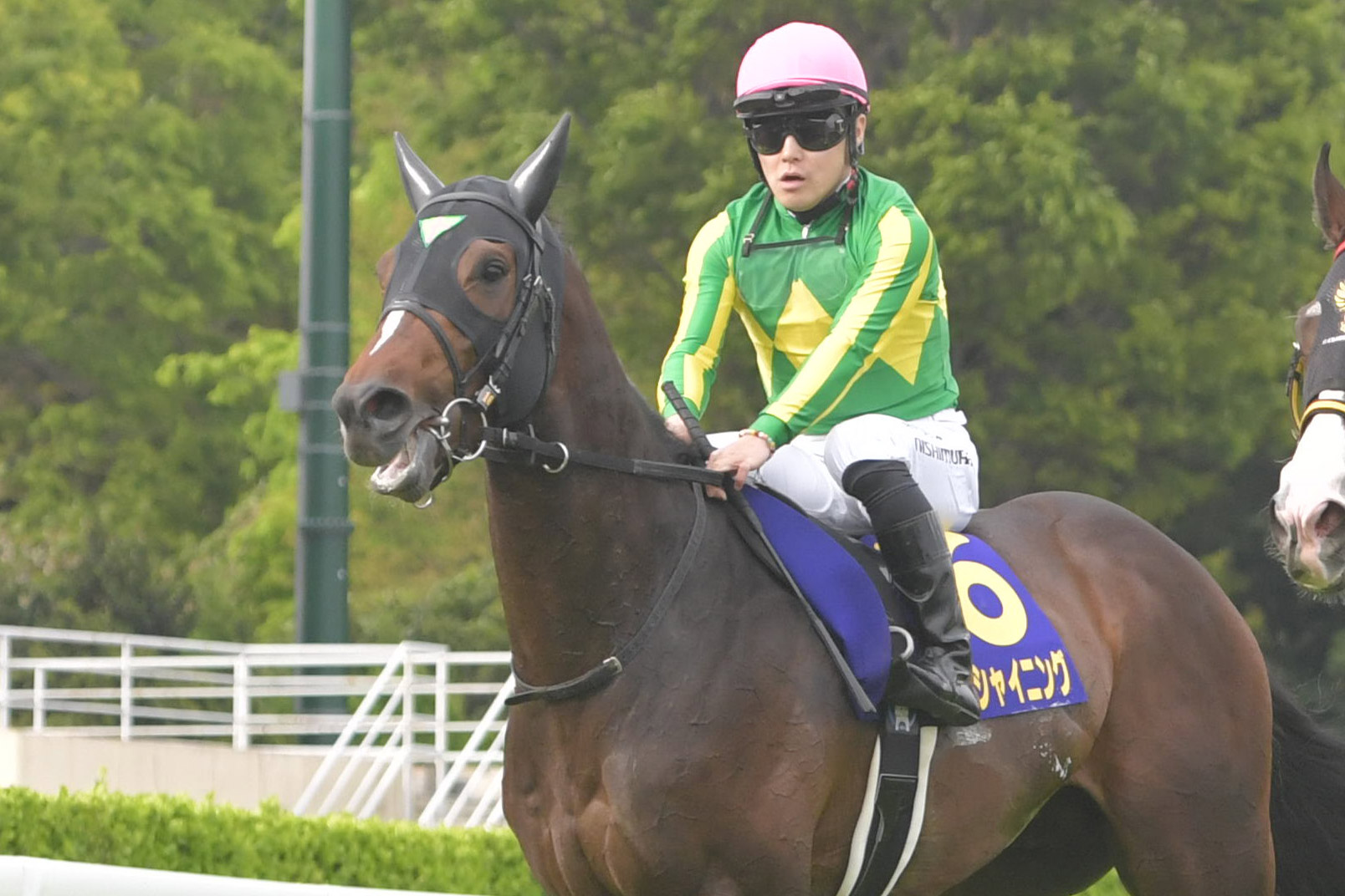 皐月賞・人気馬の敗因】2番人気サトノシャイニングは5着 西村淳也