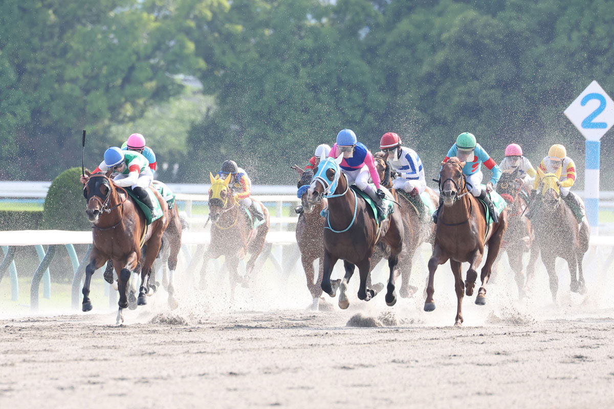 ユニコーンステークス結果＆コメント】カナルビーグル快勝 吉村誠之助