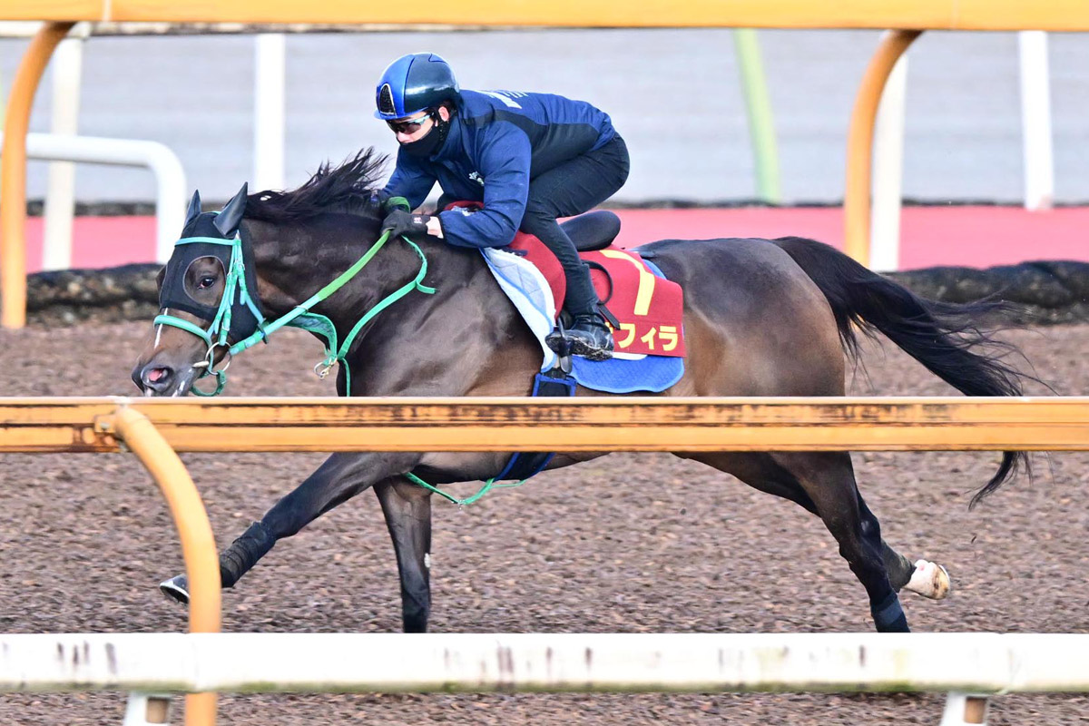 ヴィクトリアマイル／1週前追い切りランキング】動きのいい馬が多い中