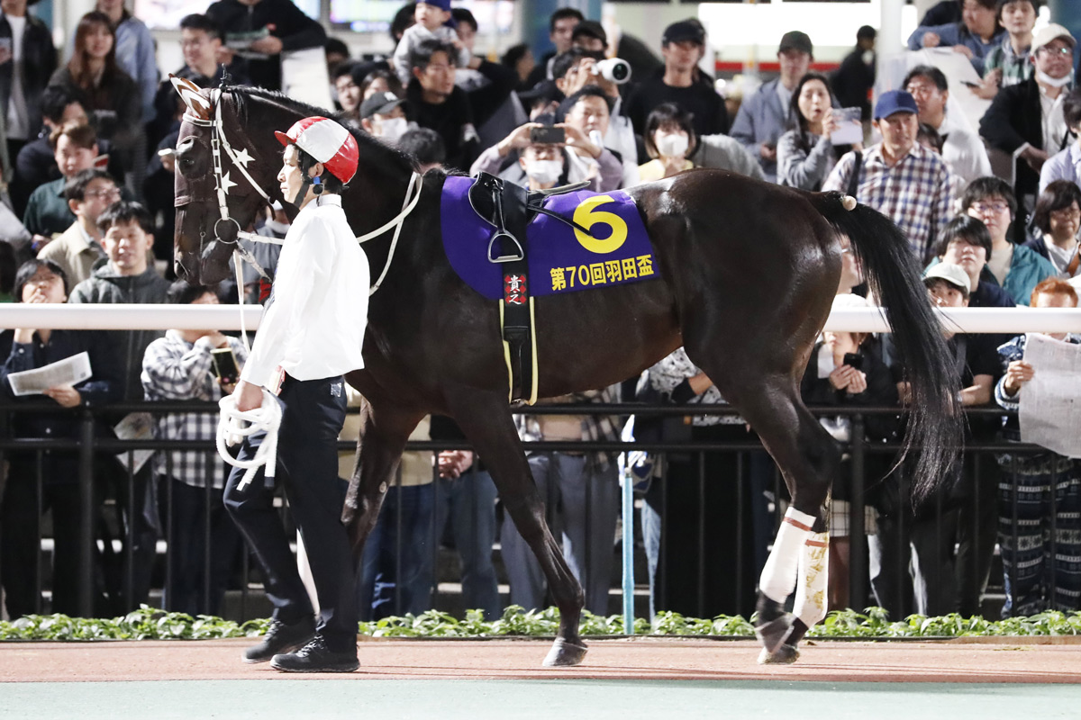 【大井競馬・東京ダービー予想】適性ならメンバー最上位！逆転まである 大坂寅生の狙い | 競馬ニュース・特集なら東スポ競馬