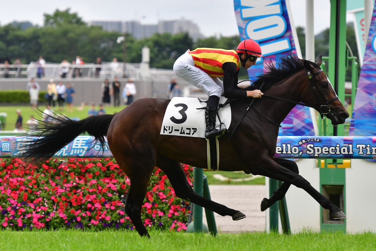 良血ドリームコアが逃げて楽勝 母も叔母もGⅠ馬 レーン「もっと良く