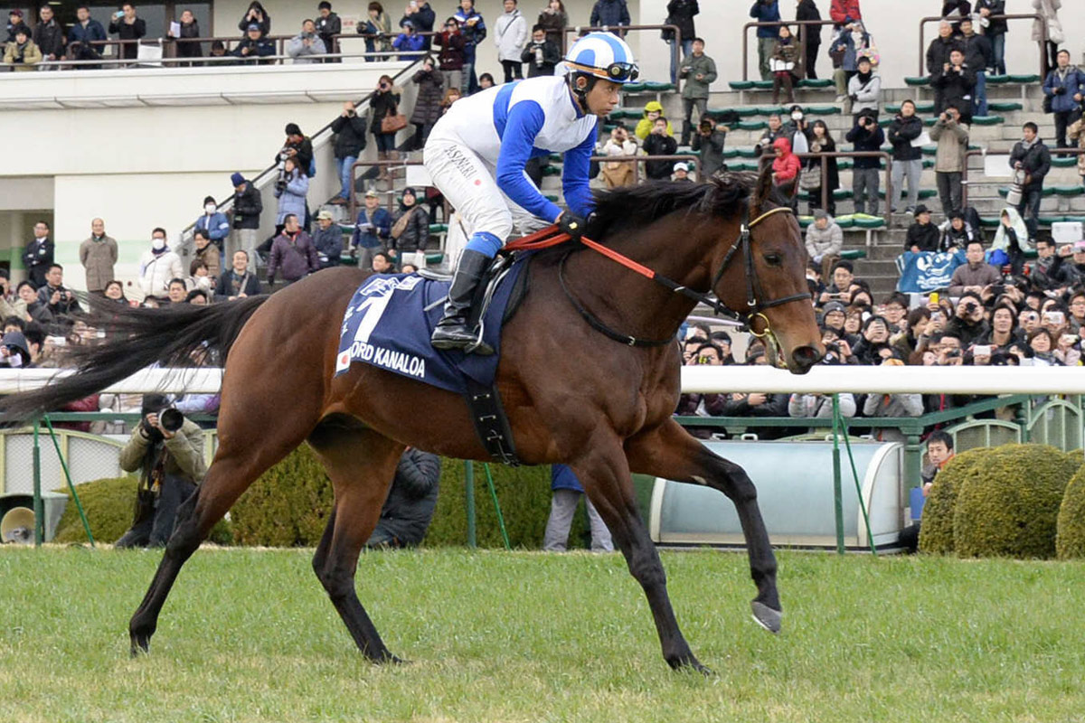 ロードカナロア産駒が東京4RでJRA通算1200勝を達成 今年も