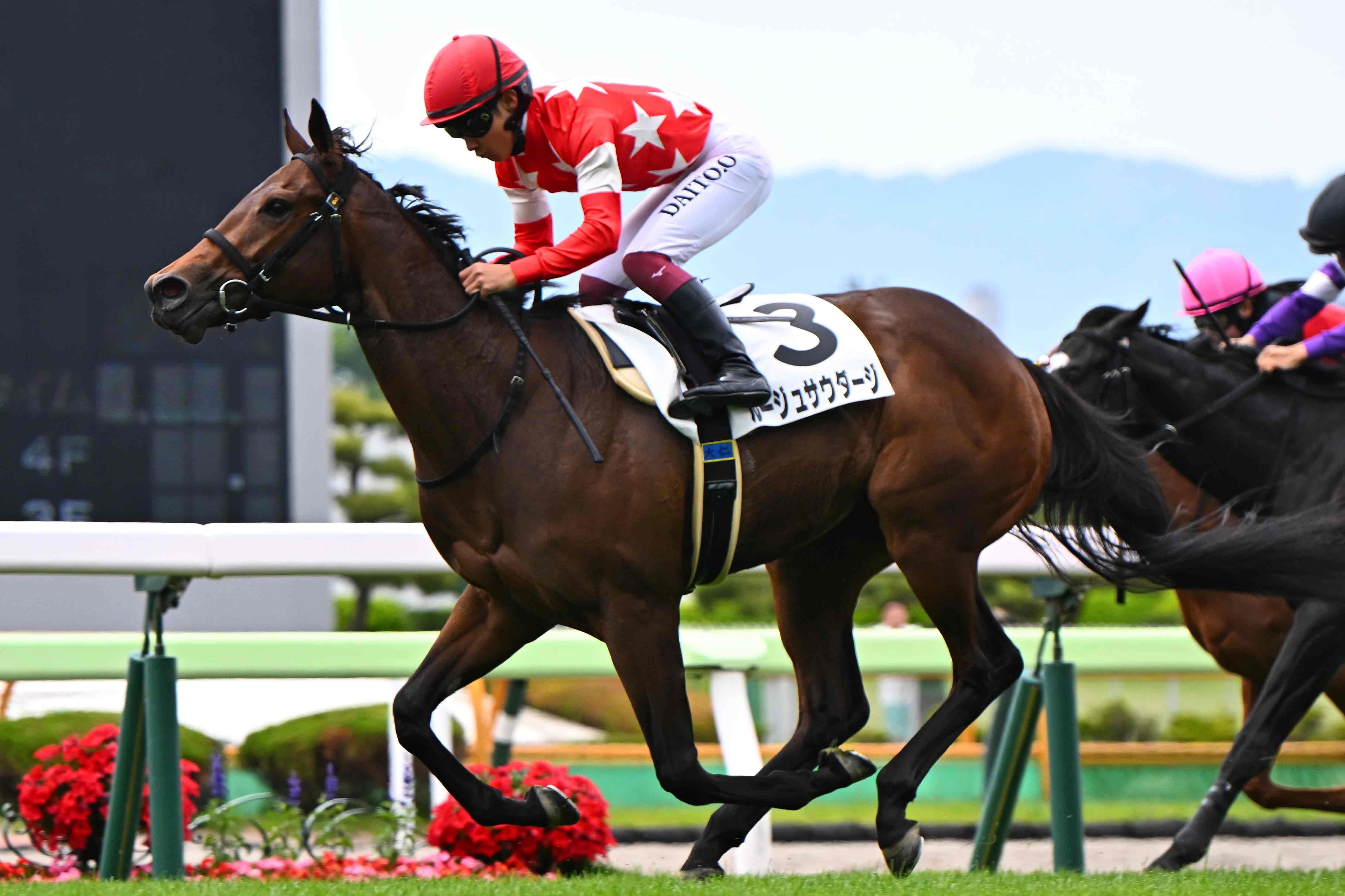 新種牡馬ポエティックフレア産駒リアライズシリウスが7馬身差逃げ切り
