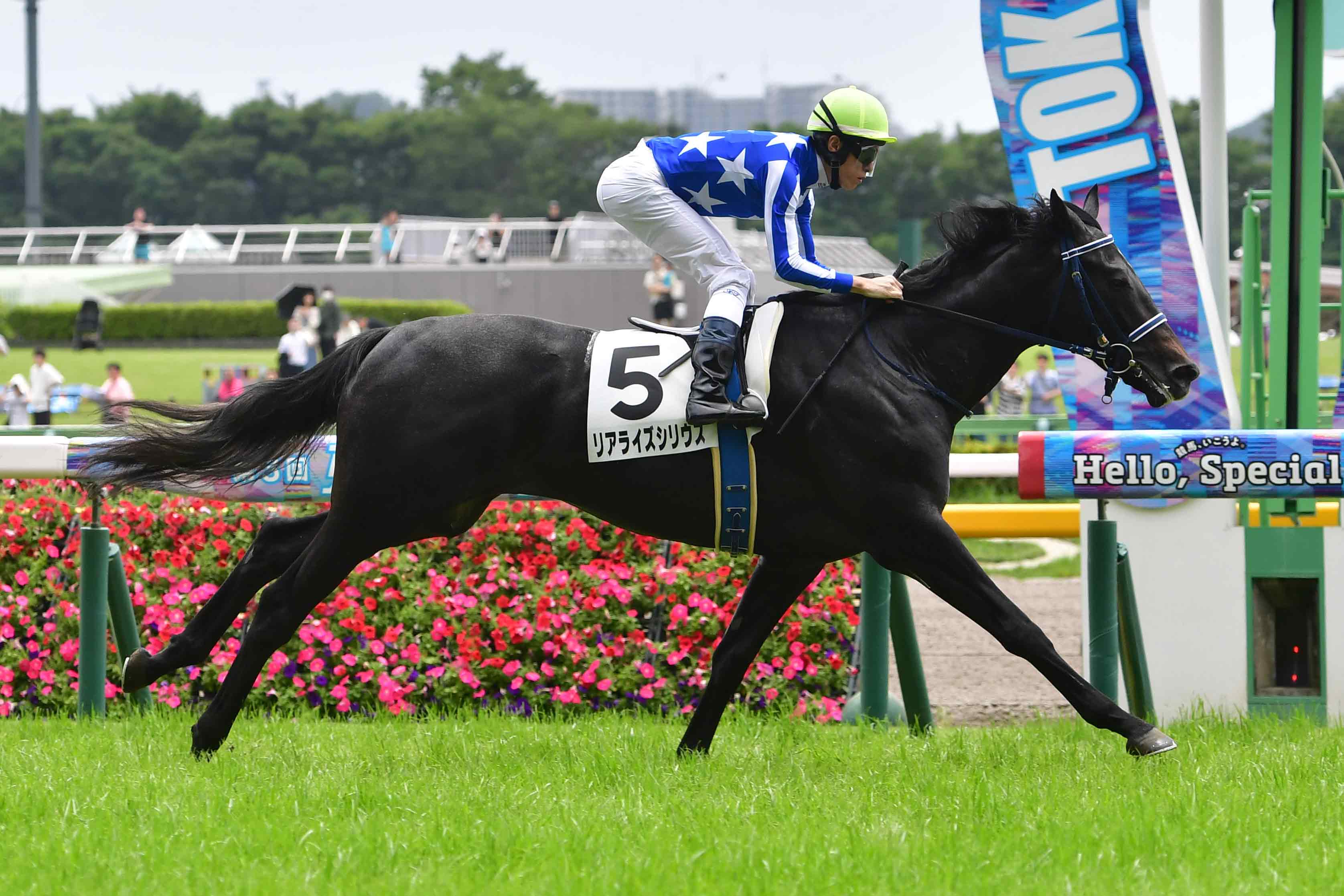 新種牡馬ポエティックフレア産駒リアライズシリウスが7馬身差逃げ切り