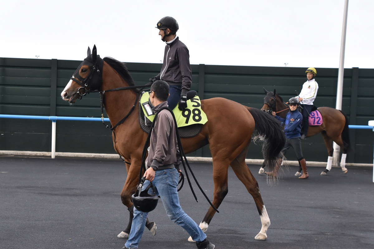 2 歳 馬 デビュー 予定