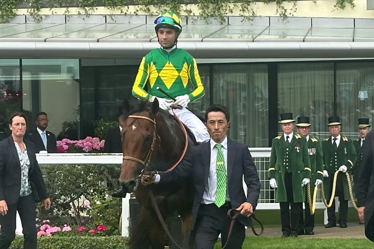 サトノレーヴ惜しくも2着 モレイラ「非常にいい馬とぶつかってしまっ
