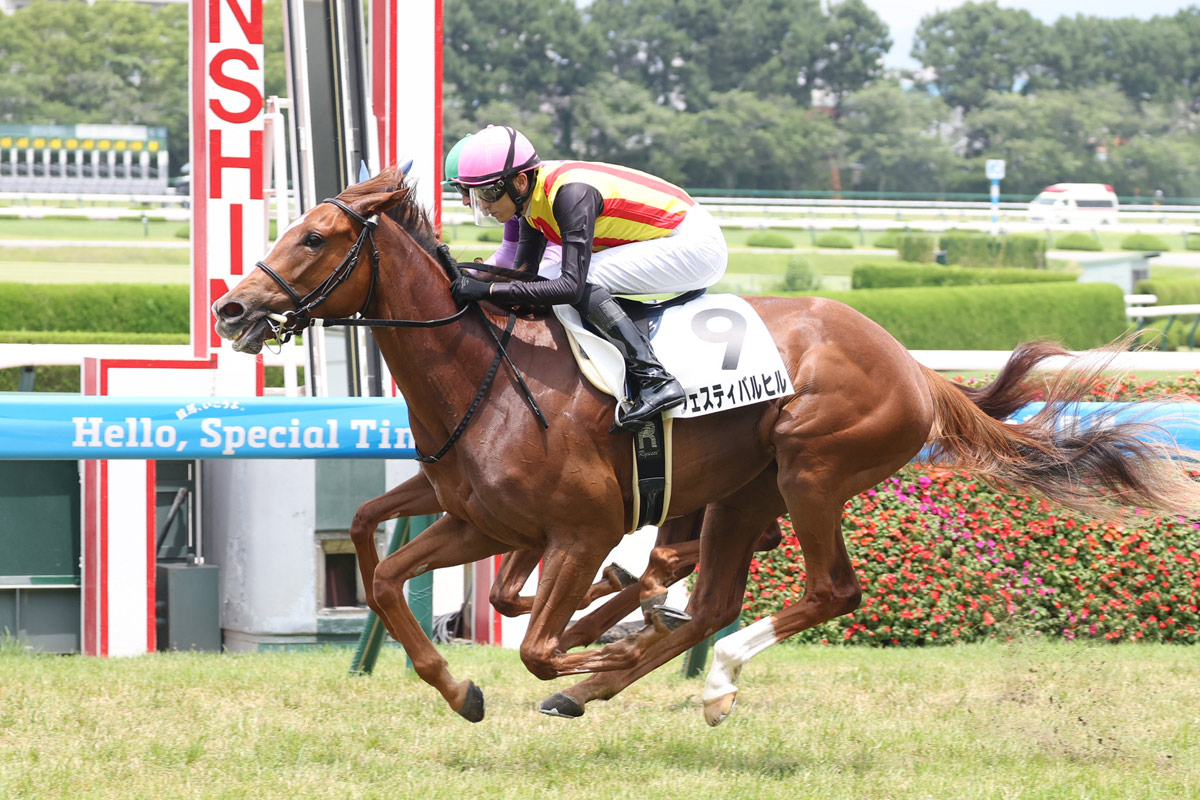 皐月賞馬の妹フェスティバルヒルが初陣快勝 坂井瑠星「今後が楽しみな