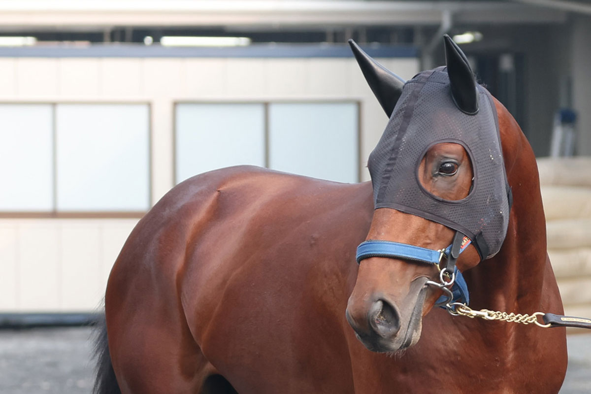 今週の注目新馬】新種牡馬キセキ産駒の初陣Vへ！日曜小倉に登場の