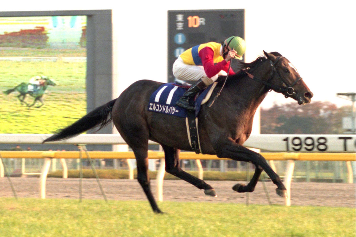ステイゴールド 1998年 有馬記念 馬券 アンティーク コレクター品 1998年 有馬記念（GⅠ） | グラスワンダー | JRA公式 - YouTube