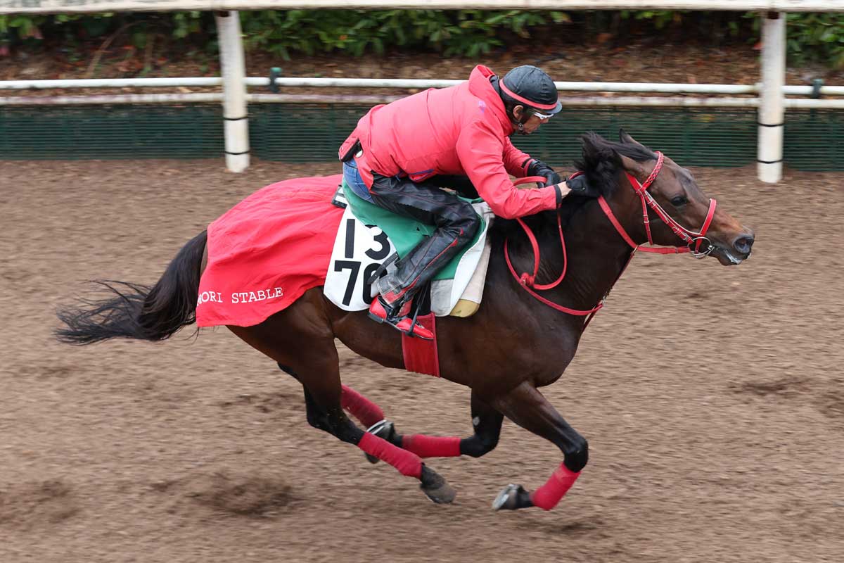 栗東坂路ラスト23秒台の鬼脚】該当馬2頭のうち勝負は1頭のみ
