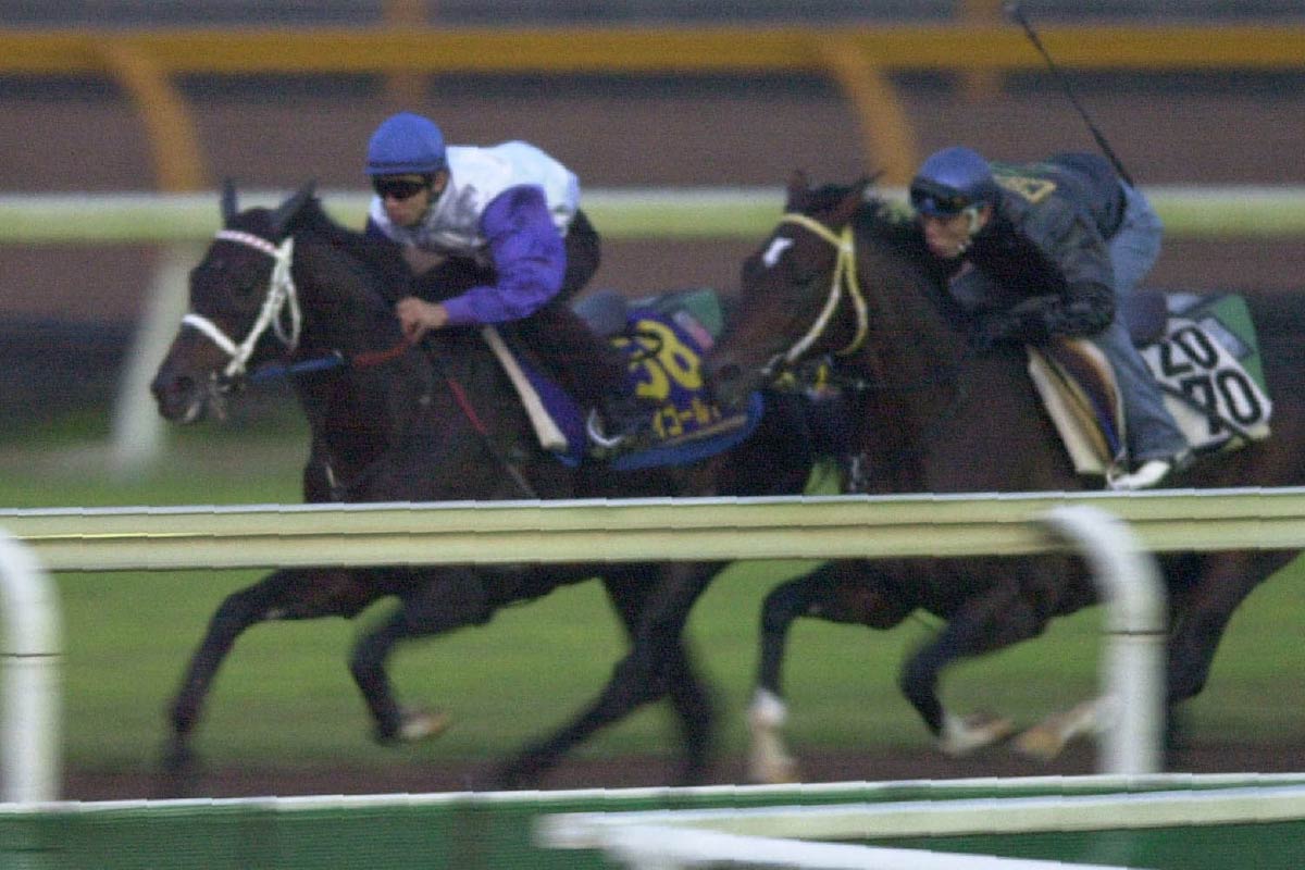 第114回目黒記念　優勝馬ステイゴールド単勝馬券 金箔サイン付)ステイゴールド：第114回 目黒記念「サラブレッドカード