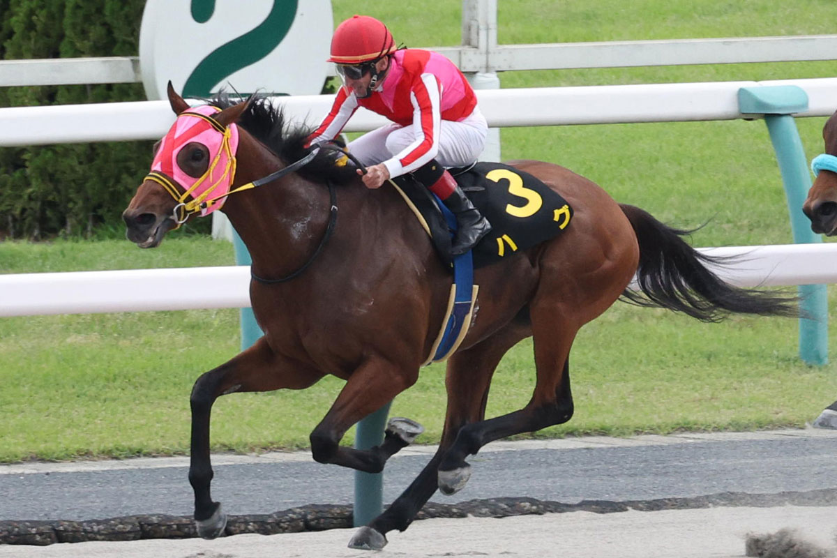 レパードS予想 JRAダート競馬の現在地…〝本家〟の血を継ぐ1頭に