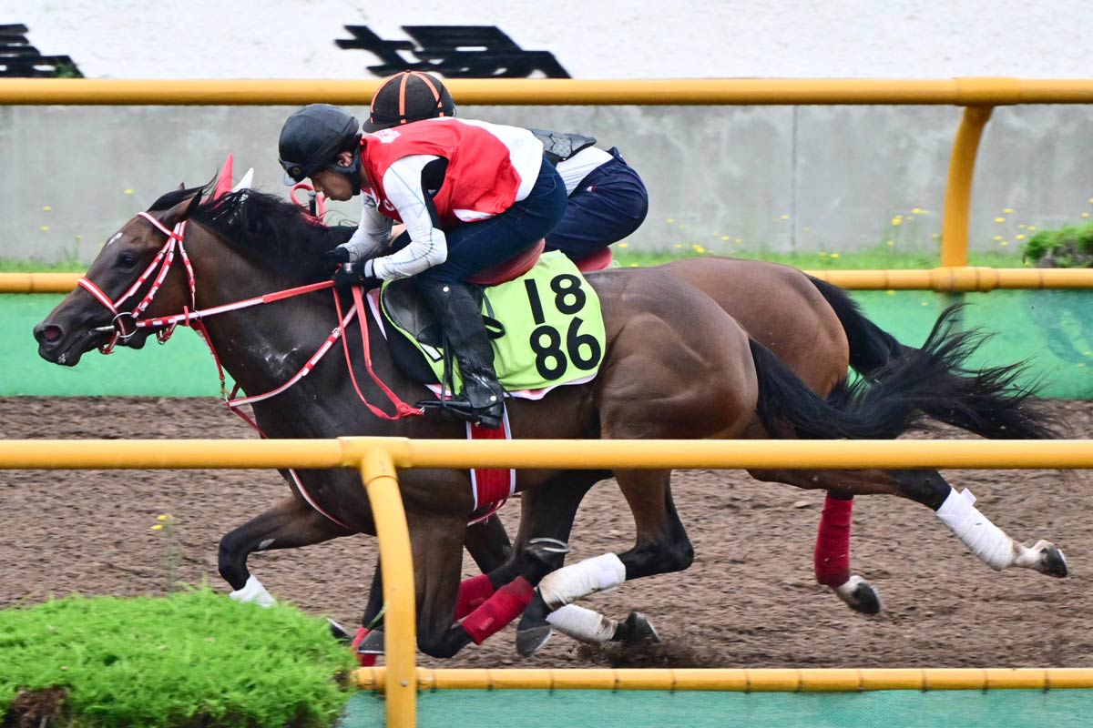 先出し！注目新馬・札幌】矢作芳人厩舎のコントレイル産駒、武豊騎乗