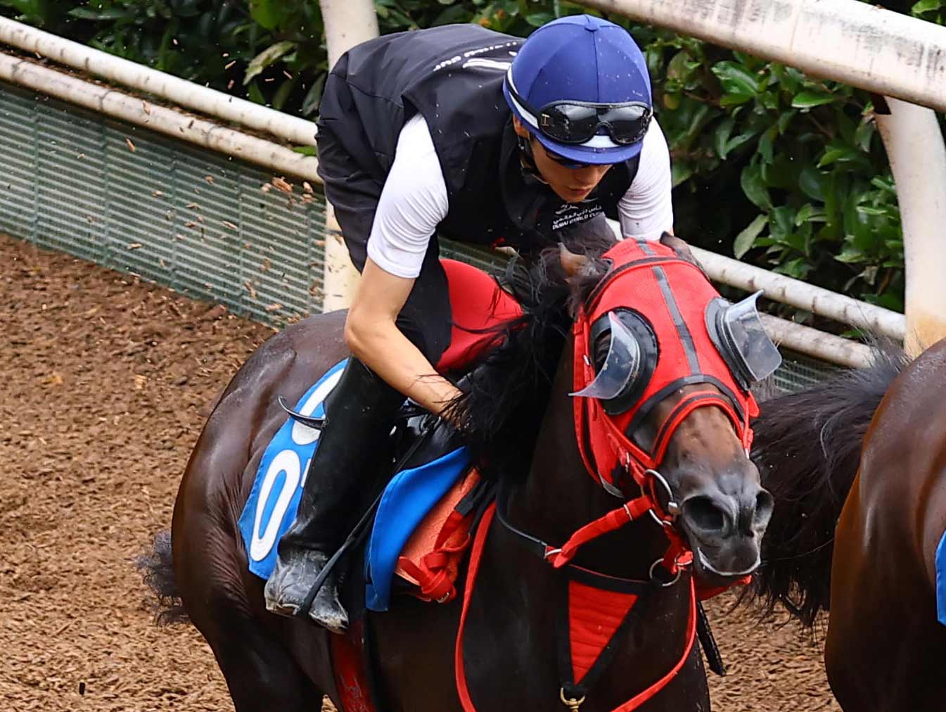 中京記念】鞍上が不利を告白！ 前走が〝もったいなかった〟2頭で勝負