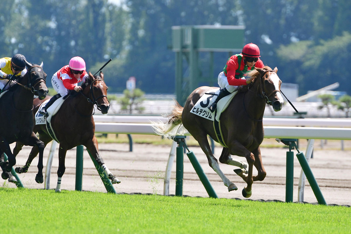 新潟2歳S・先手必勝】ゴールドシップ産駒ヒルデグリム〝規格外の
