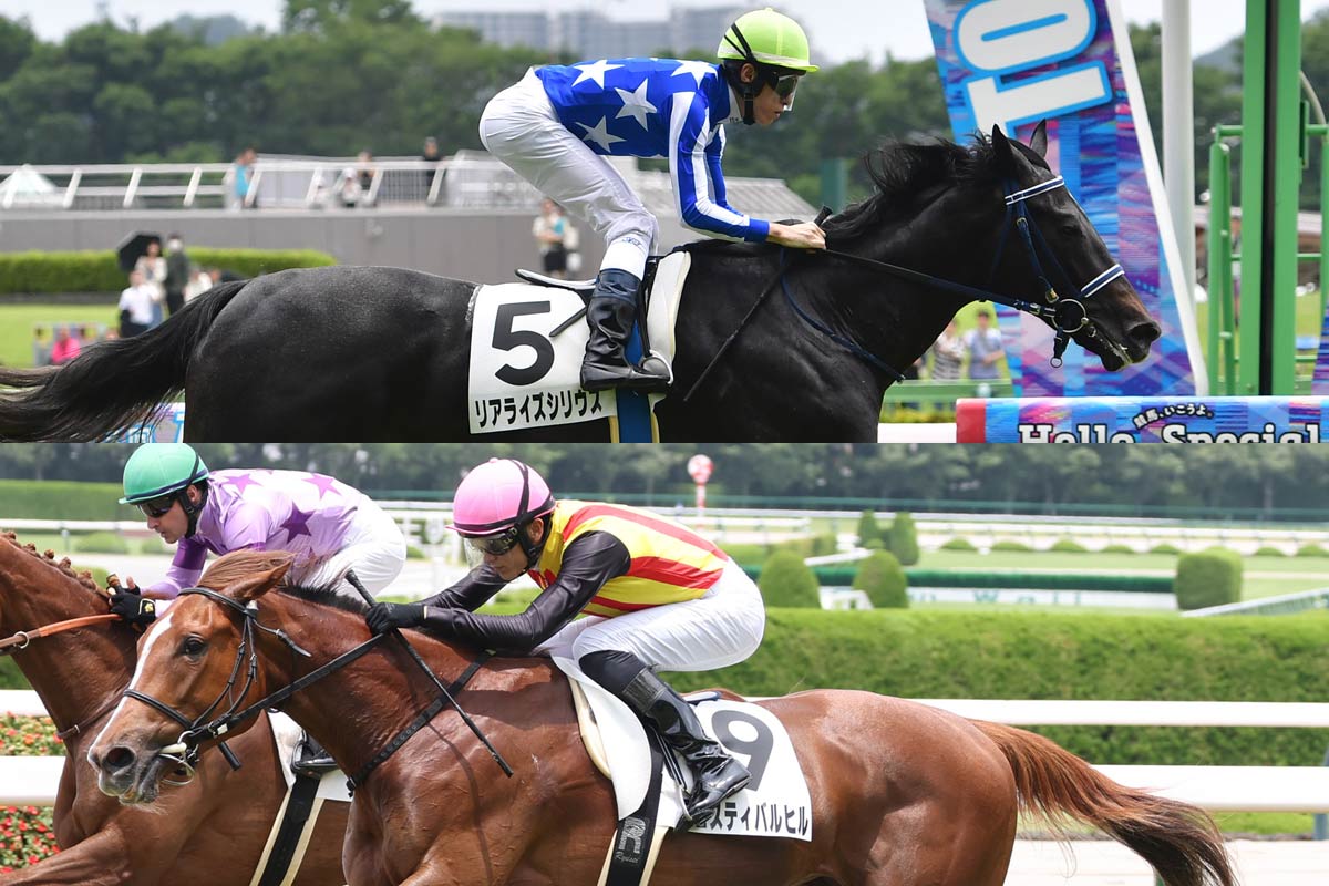 活動歴および当時の関連ビジュアル記録