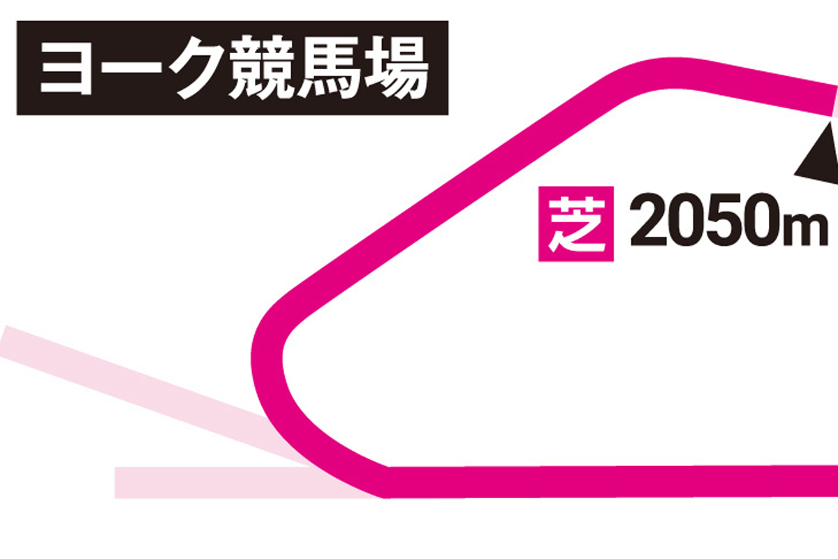 ヨーク 競馬 場