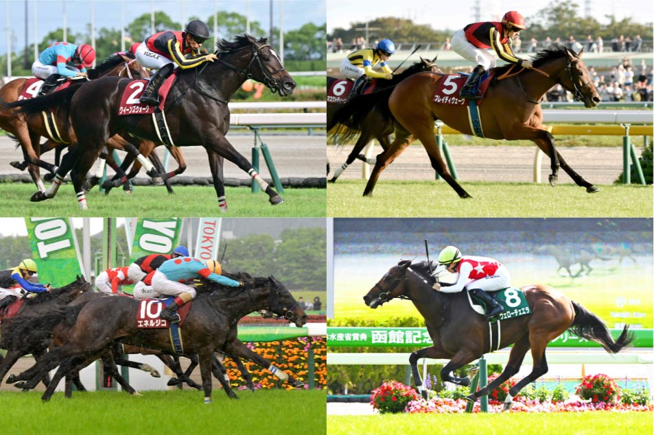 新潟記念・耳より】連覇狙うシンリョクカは昨年をしのぐ調整過程