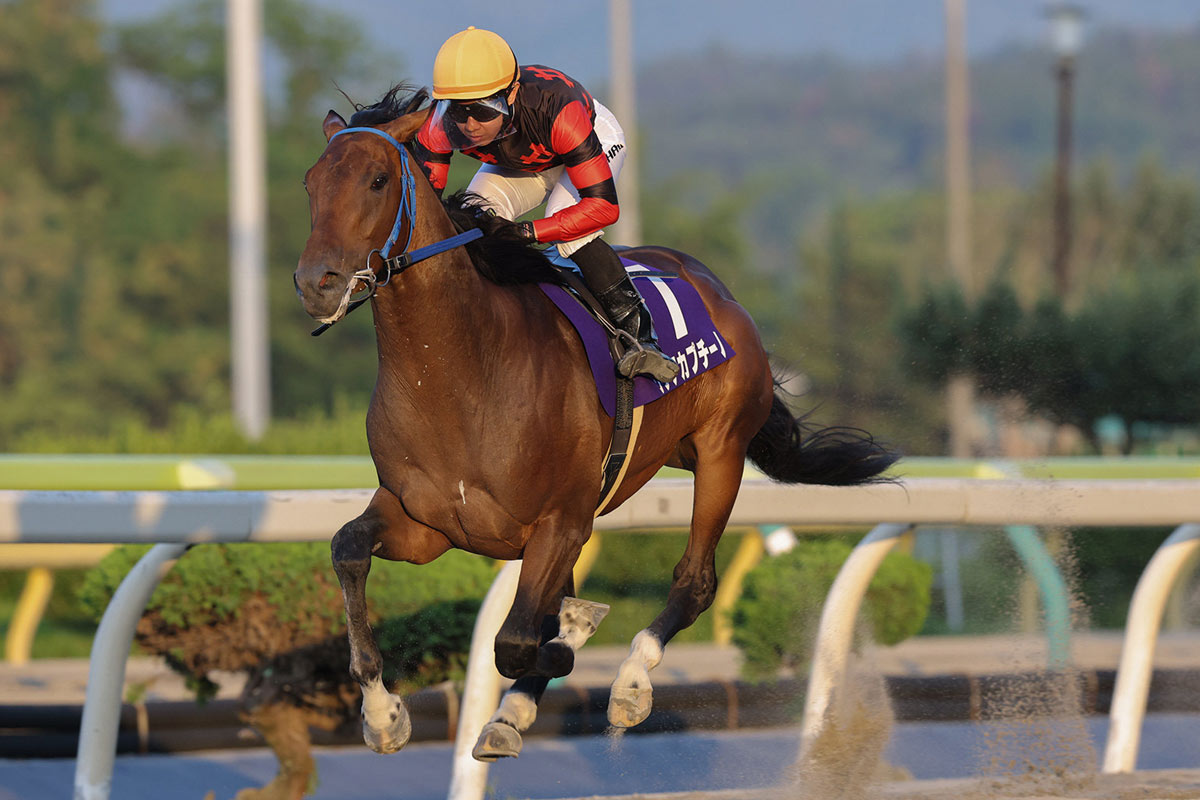 ヒシアケボノ一覧 | 競馬ニュース・特集なら東スポ競馬