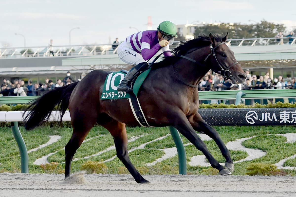 佐賀競馬・サマーチャンピオン】エンペラーワケアは小回りの経験値を