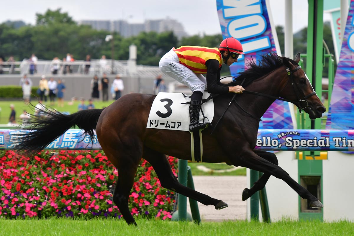 GⅠ・2勝ノームコアの娘で6月東京の新馬戦を制したドリームコアは9