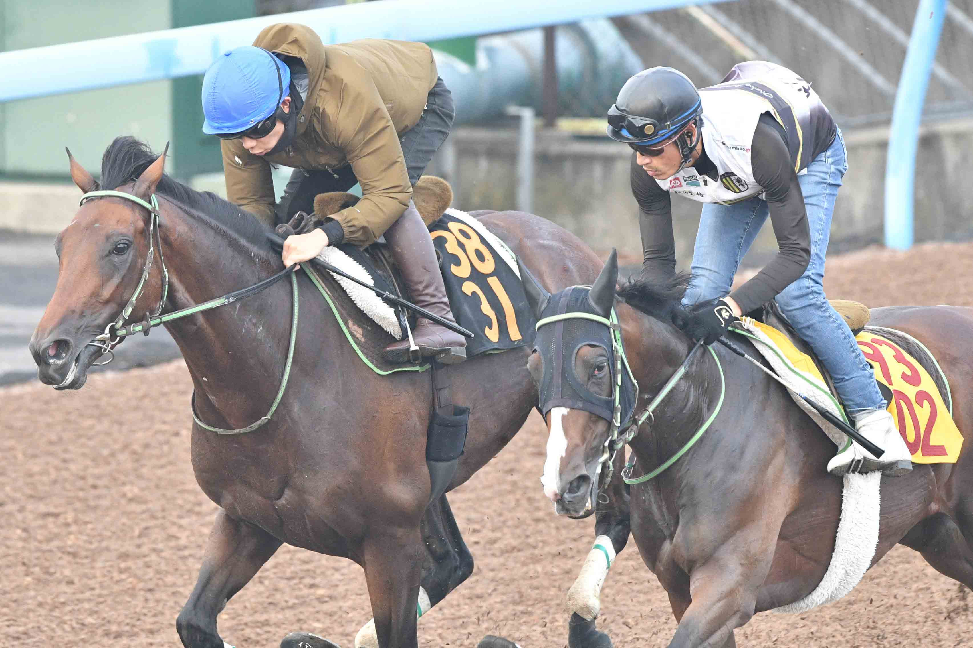 セント ライト 記念 追い 切り