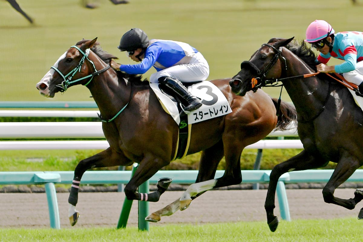 仕切り直し〟スタートレインが逃げ切る 佐々木大輔「半信半疑でした