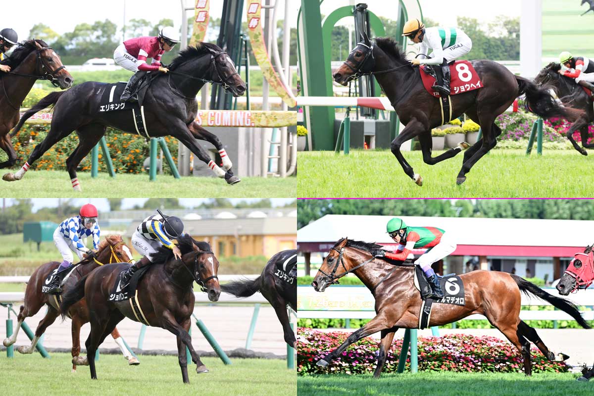 神戸新聞杯展望】GⅠ馬不在の菊花賞へ近づくのはどの馬か？ ダービー