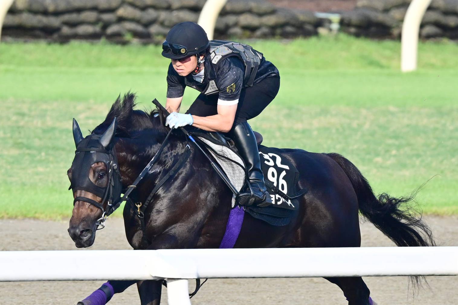 神戸新聞杯追い切り】ショウヘイは鋭い脚さばきでラスト11・5秒