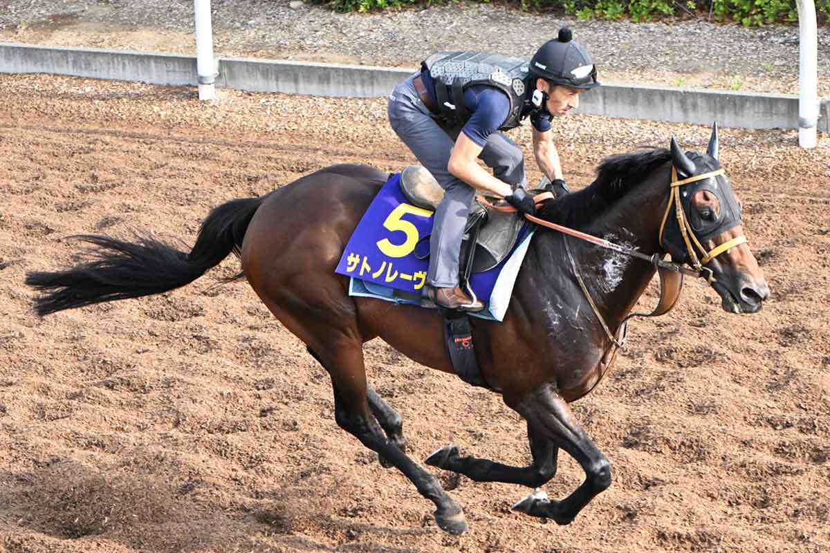 スプリンターズS・1週前追い】高松宮記念覇者サトノレーヴが貫録の