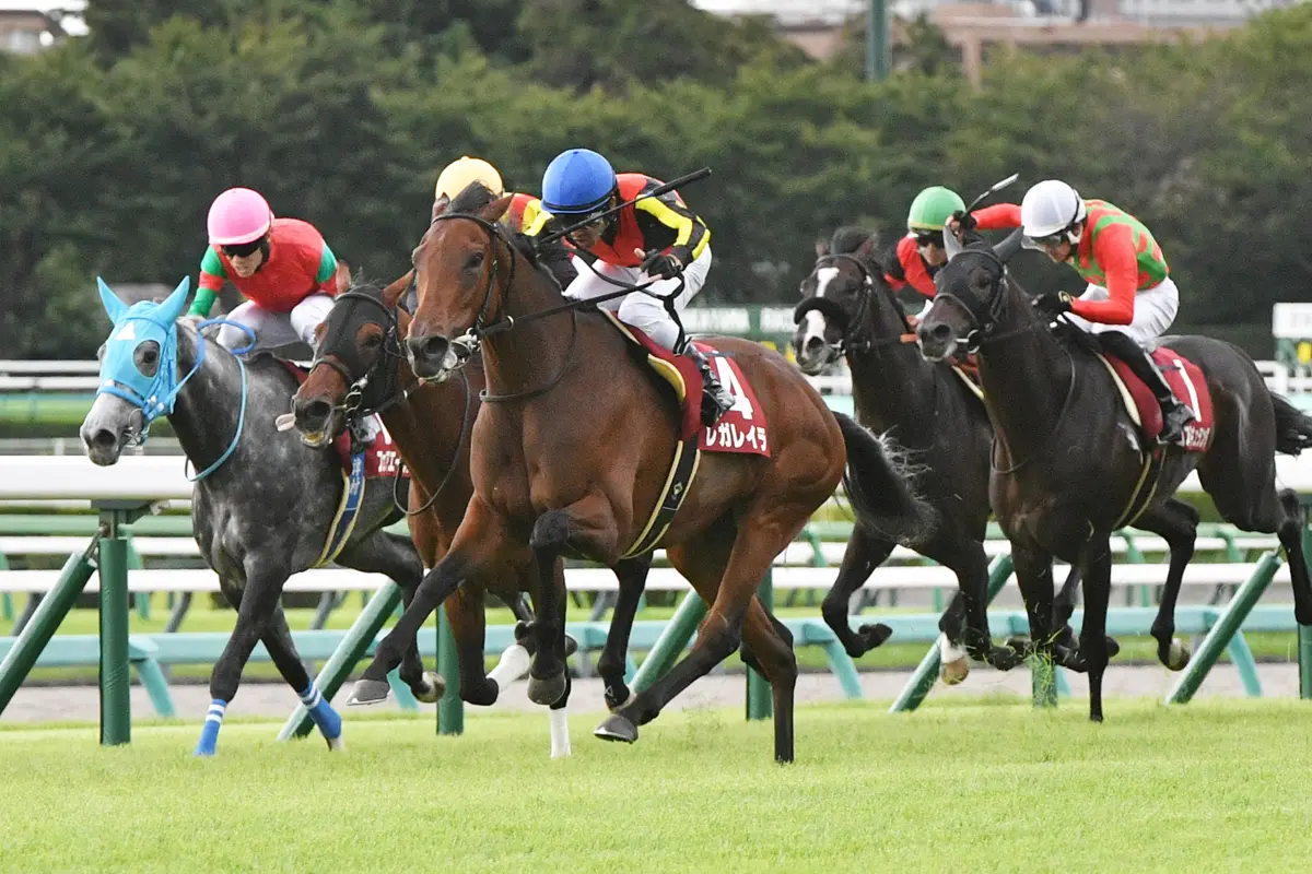 オールカマー】平地重賞でのきょうだいワンツーはグレード制導入後初