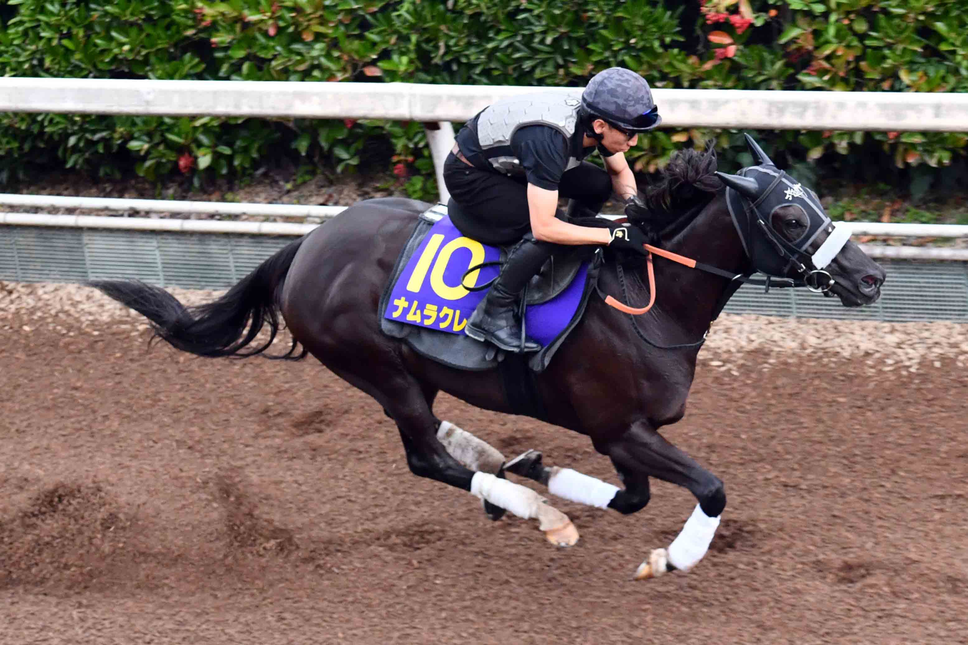 桜花賞馬エンブロイダリーはルメールとのコンビで秋華賞へ【次走報