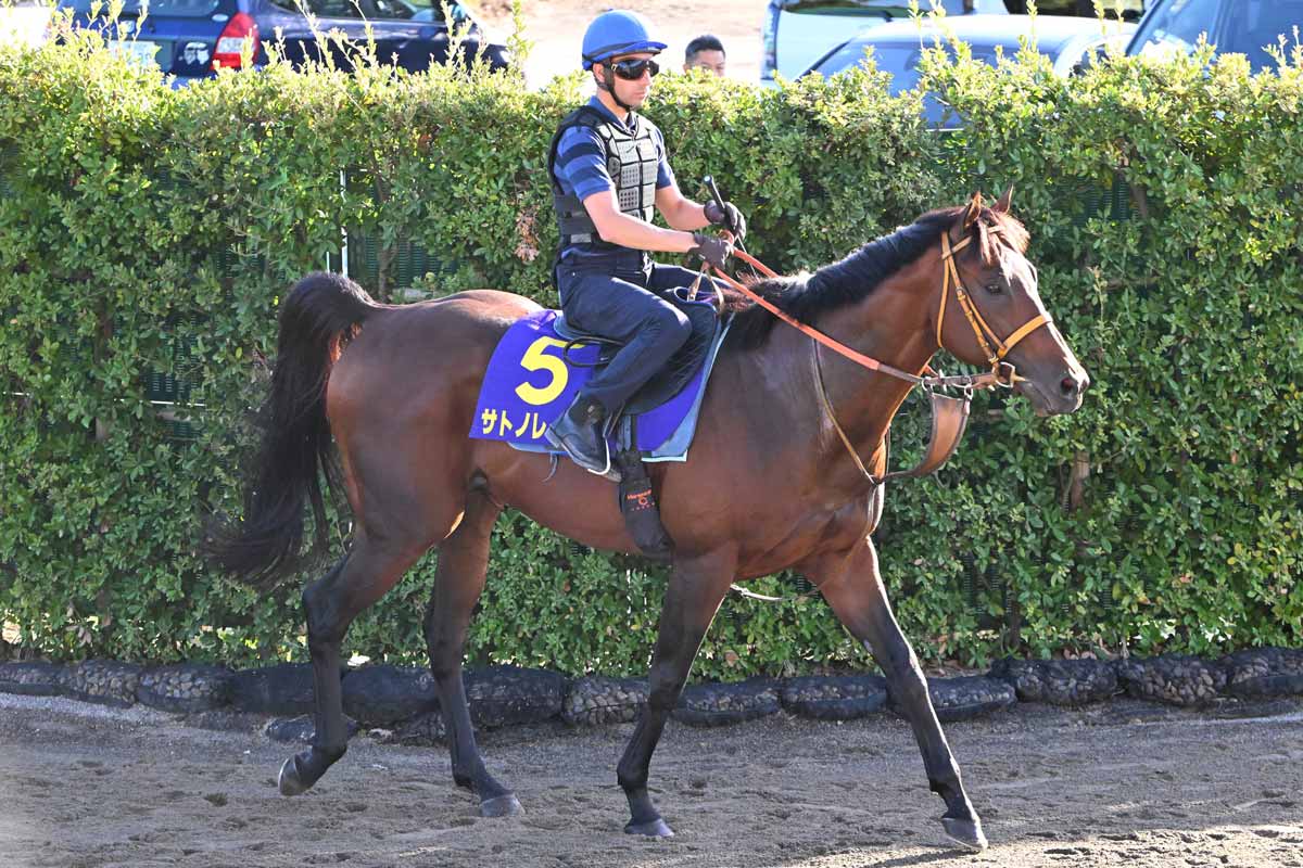スプリンターズS枠順】春秋GⅠ制覇狙うサトノレーヴは4枠7番