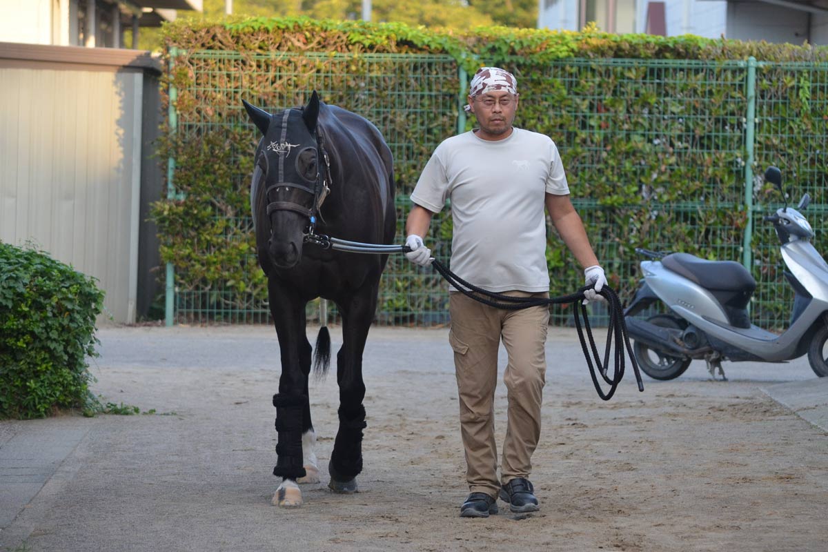 初勝利＆2勝目の福永祐一調教師「ジョッキーも馬もよく頑張って