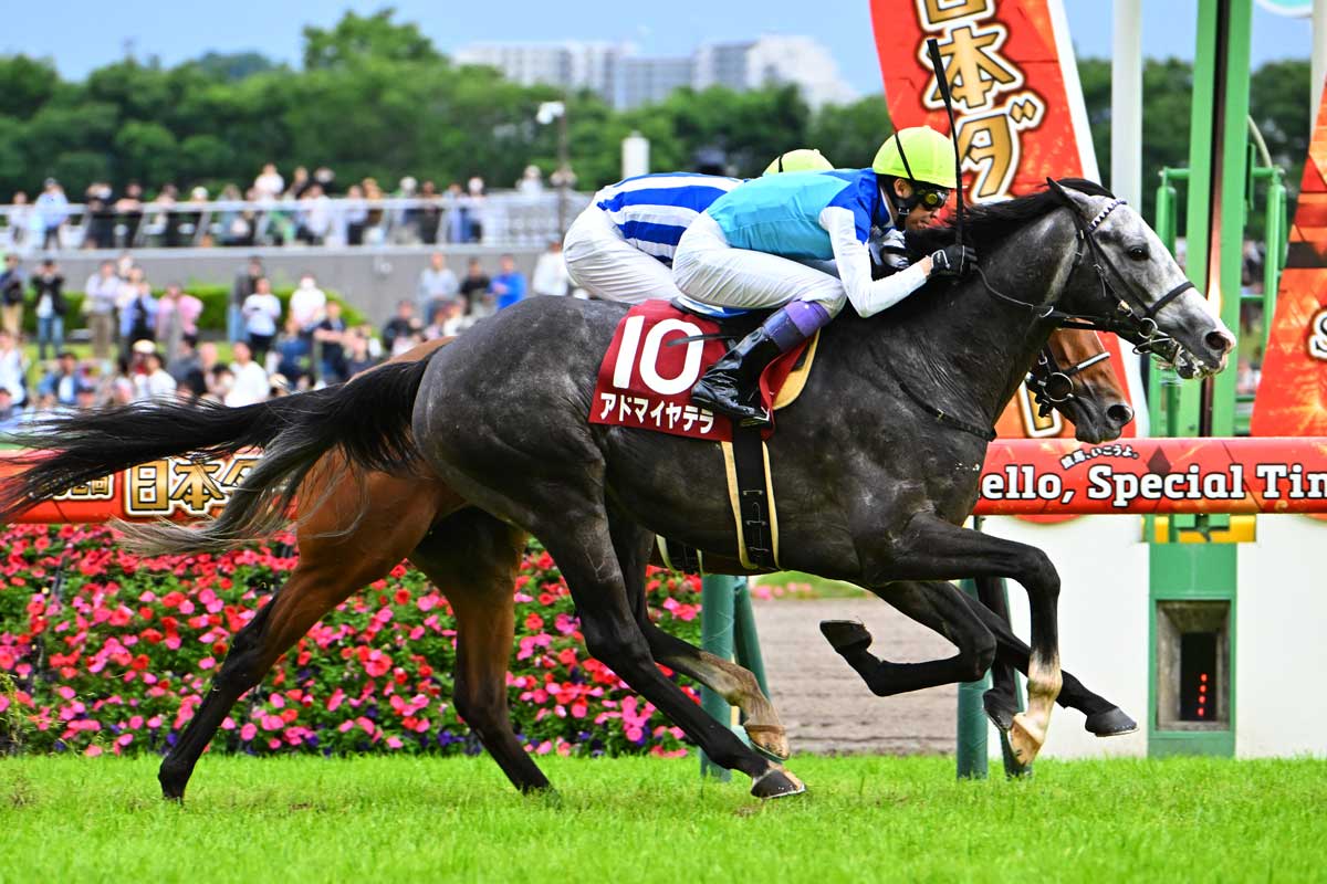 ディープモンスター 25年 京都大賞典 現地的中単勝馬券 アミールT制覇