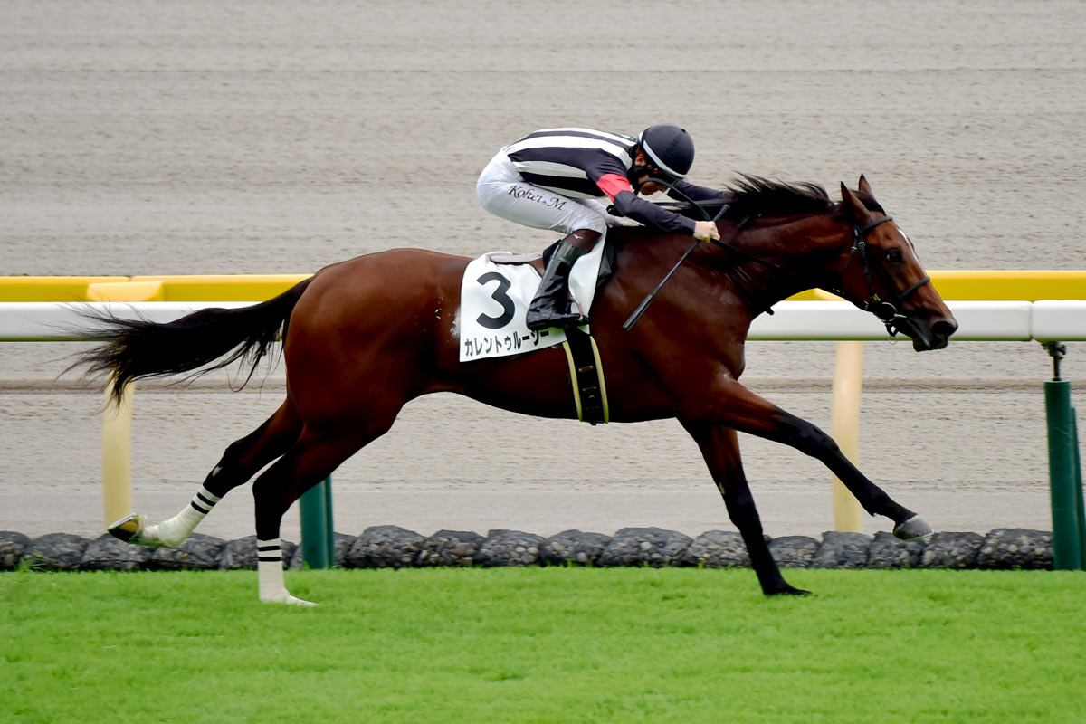 サングレーザー産駒が2世代目でJRA初勝利 カレントゥルーシーが