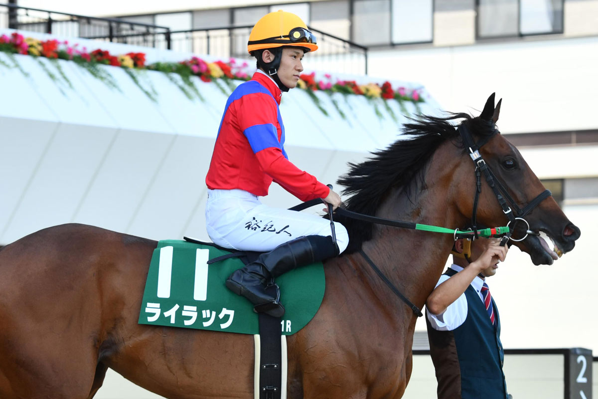 ライラックはエリザベス女王杯4年連続の参戦へ 過去3年は2、4、6
