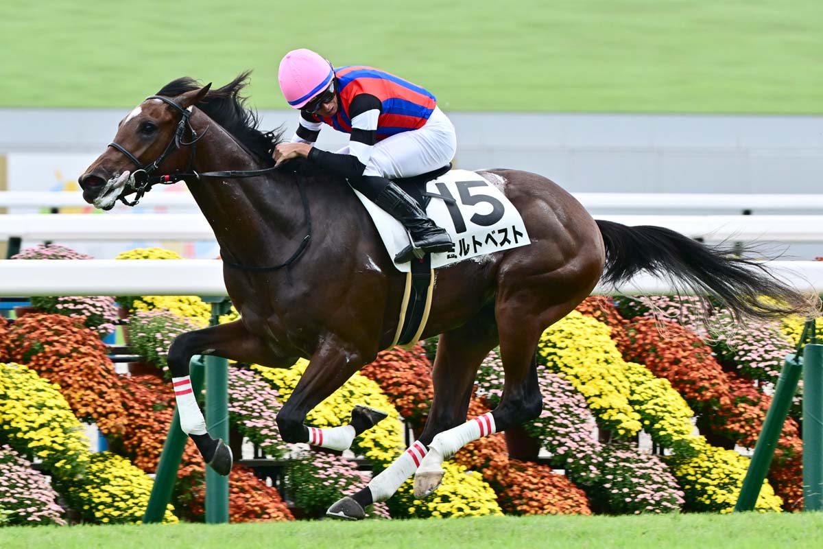 5番人気ミルトベストが2馬身差の快勝 岩田望来「のちのちは千二に」【2