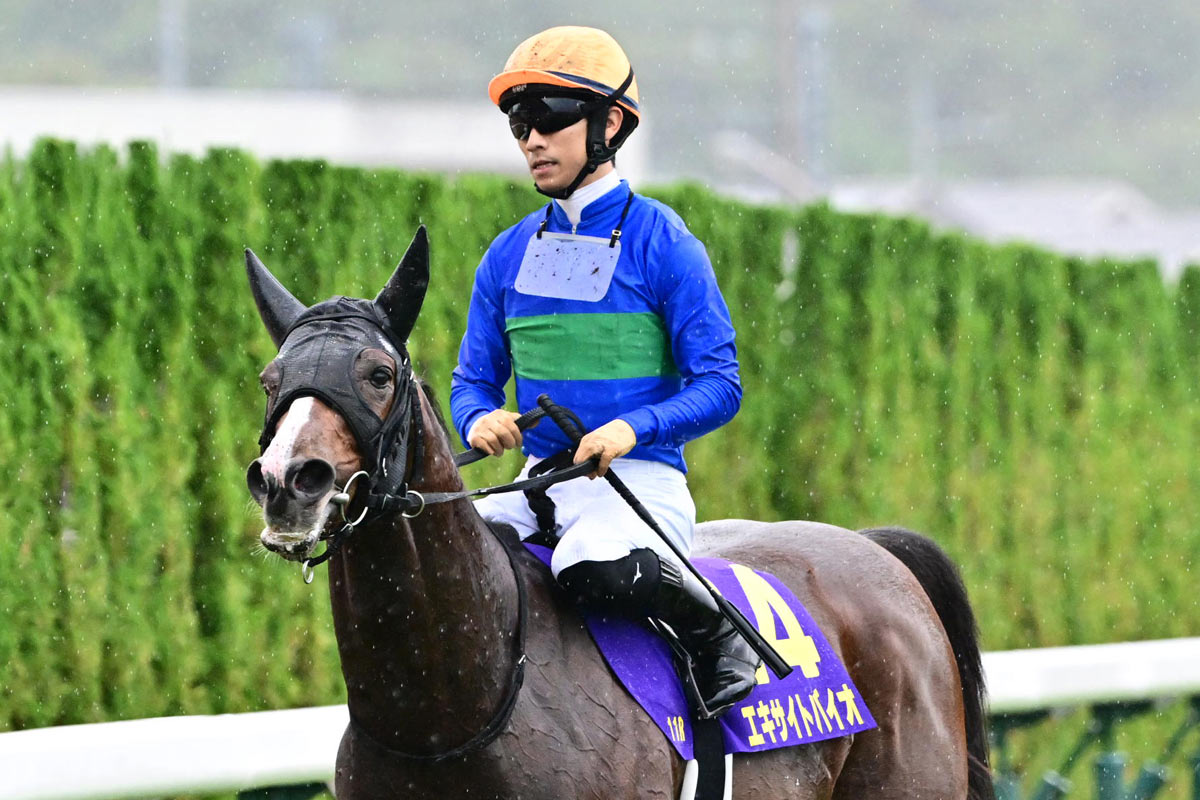 競馬の極み 菊花賞】エキサイトバイオが馬名通り興奮呼ぶ3着激走 今野貞一調教師