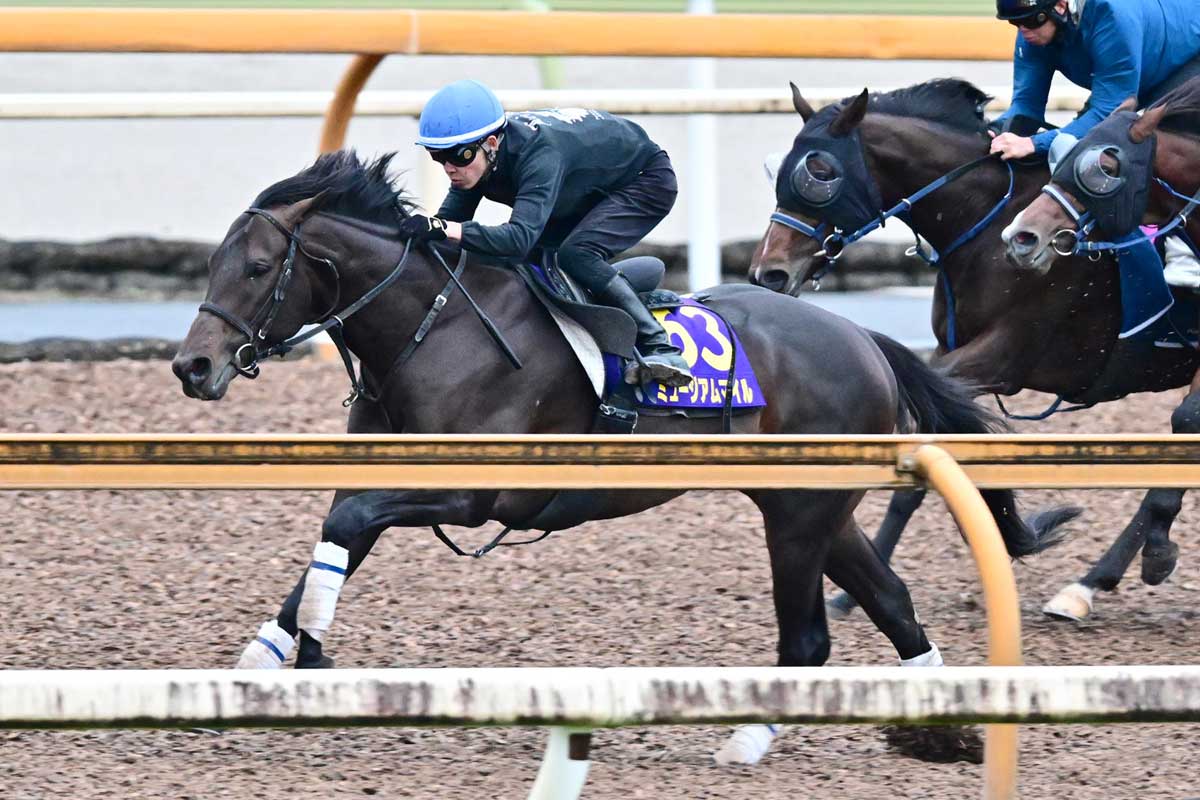 天皇賞秋】勝利の方程式は今年も継続しそう…府中二千はトニービンの血