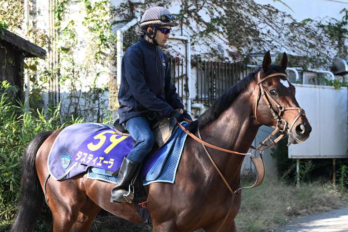 天皇賞秋・調教後馬体重】帰国初戦タスティエーラは前走比15キロ増