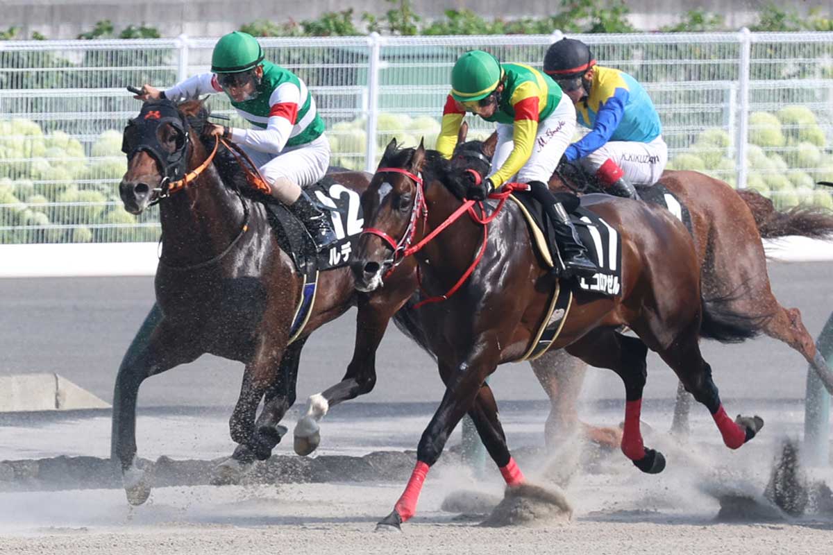 栗東坂路ラスト23秒台の鬼脚】該当5頭のうち出走馬はただ1頭！ 全体