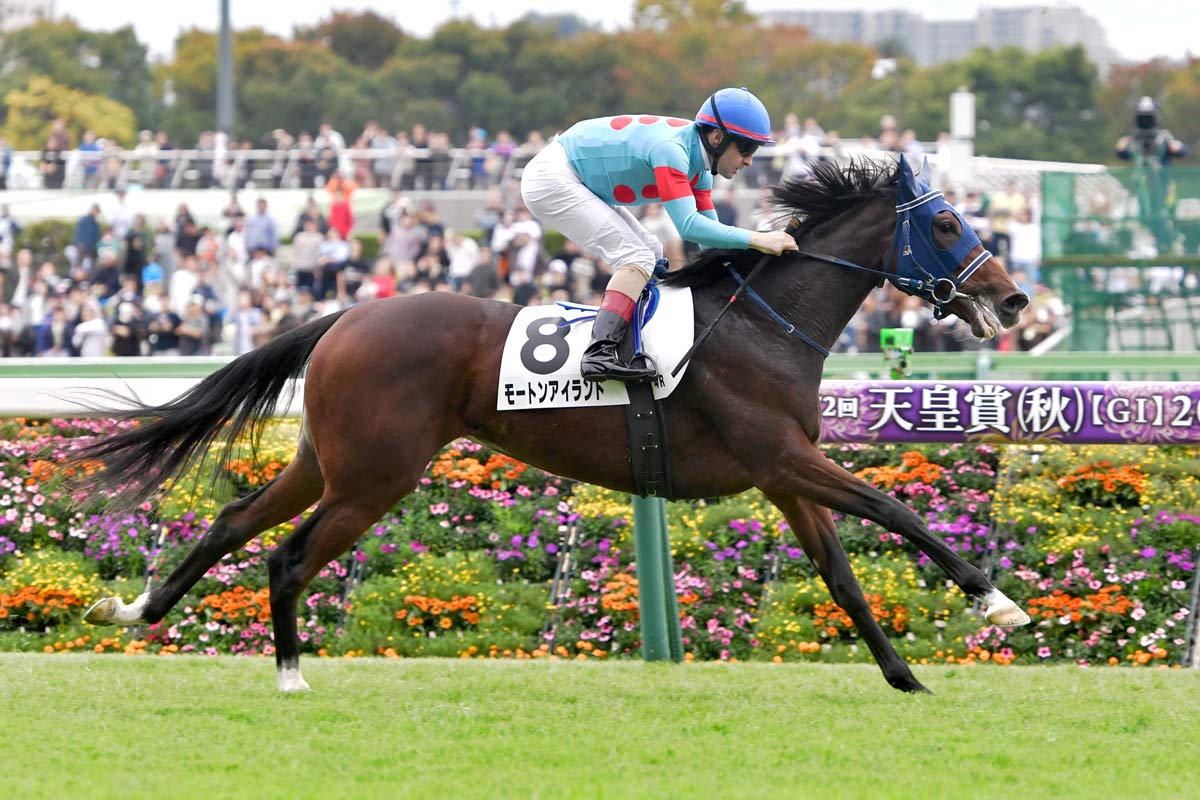 良血馬モートンアイランドが1番人気に応えて快勝 ルメール「伸びしろは