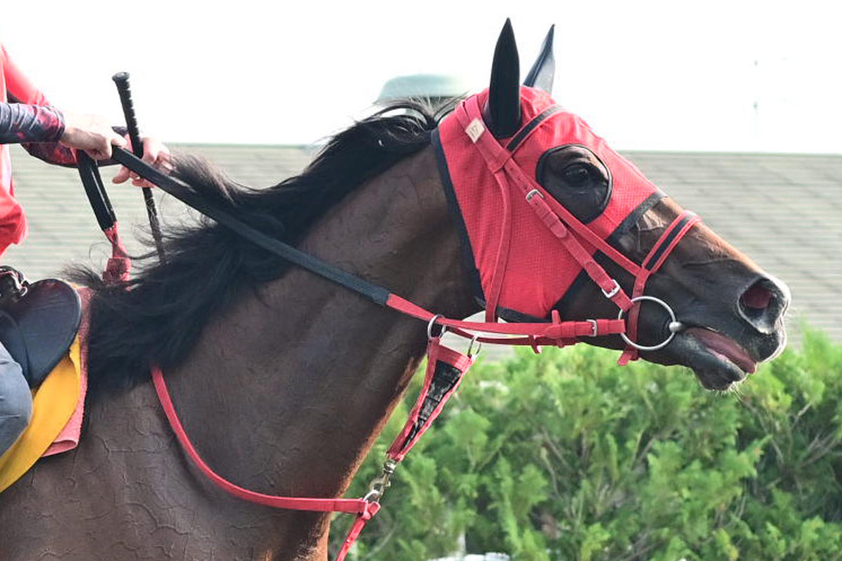 天皇賞秋】衝撃の末脚「31秒7」シランケド猛追も届かず4着 前馬未到