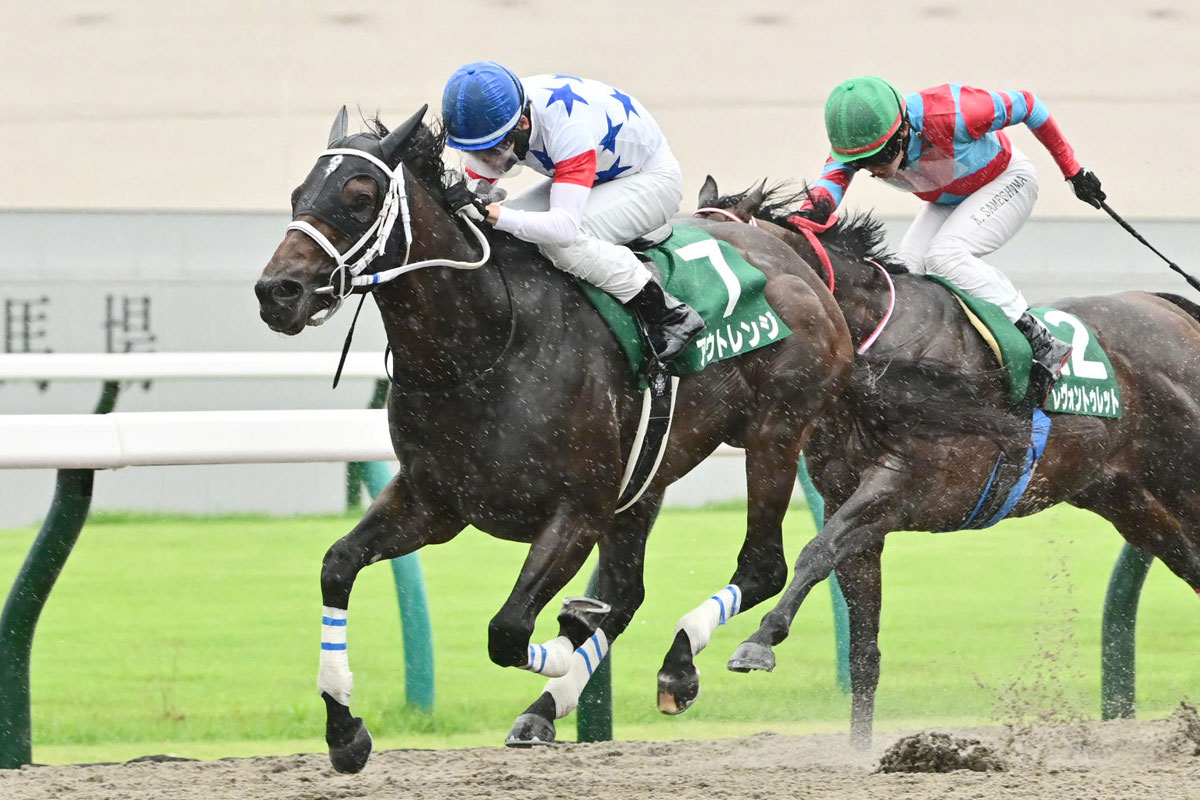 みやこS】京都ダ千八はシアトルスルーの血を狙え！ 注目は帝王賞2着