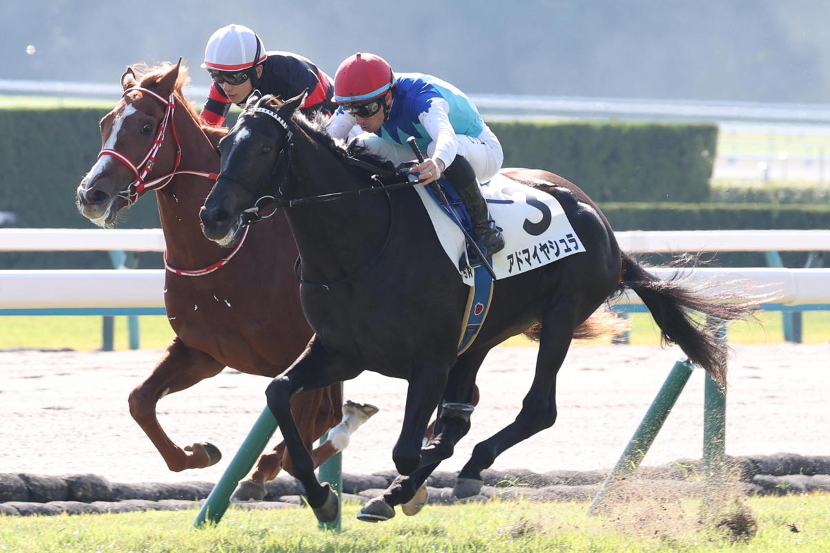 母も兄も重賞Vの良血アドマイヤシュラが快勝 Cデムーロ「すごく上手な